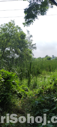 খুলনার সেরা লোকেশনে দক্ষিণ-মুখী প্লট বিক্রয়!